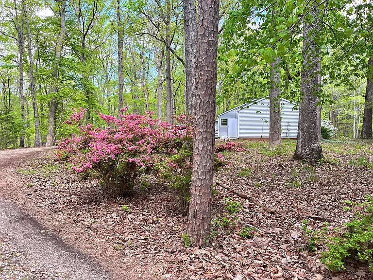 Sparrow Springs Rd — Photo 6