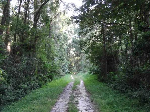 Partridge Ln, Monticello, FL 32344
