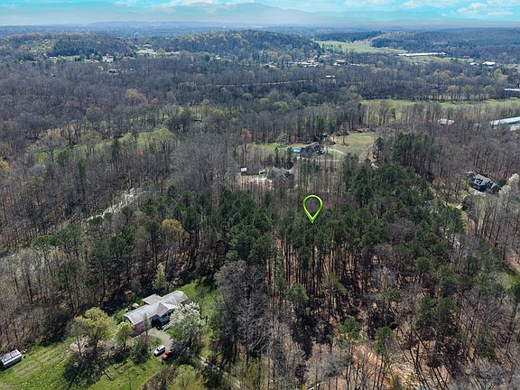 4th image of Flora Ln