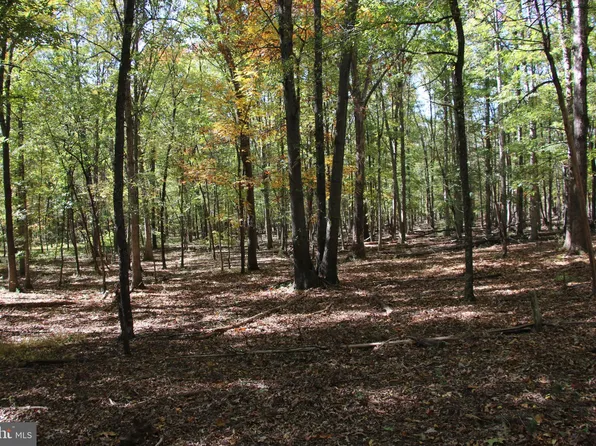 Sadlick Rd Lot I, Strasburg, VA 22657