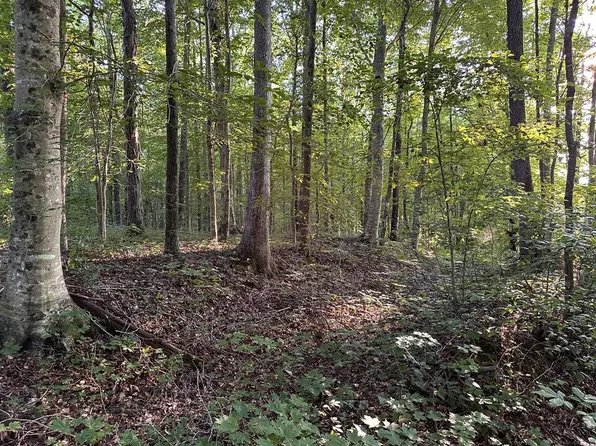 1653AC Riverton Rd, Jamestown, TN 38556