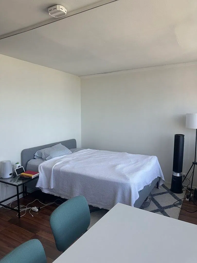 Studio, 550 sqft, $2,100 — Photo 2