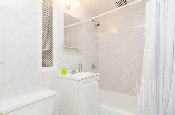 Rented by Alpha Properties NYC I LLC | media 29