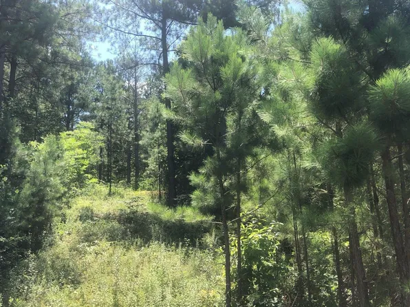 37 Loftis Mountain Way, Blairsville, GA 30512