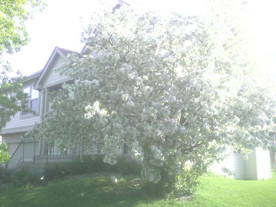 2nd image of 958 Pennwood Ln