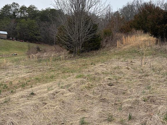 4th image of Dulaney Rd