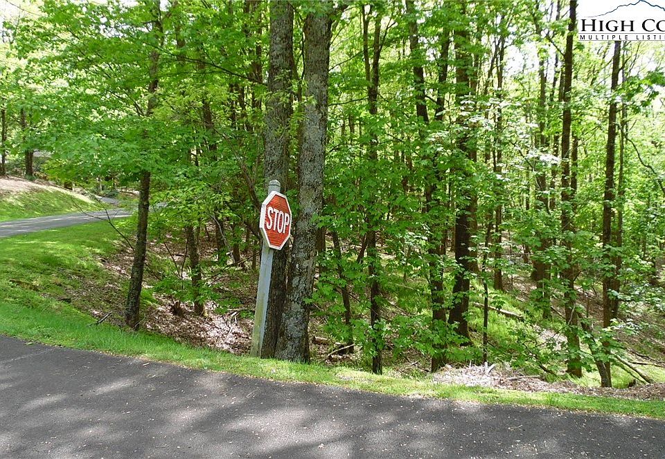 2nd image of TBD Wildwood Lane