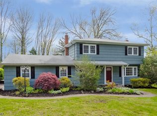 26 Jocynda Rd, Flanders, NJ 07836