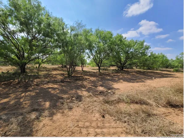 1076 PR 2630 LOT 3, Moore, TX 78057