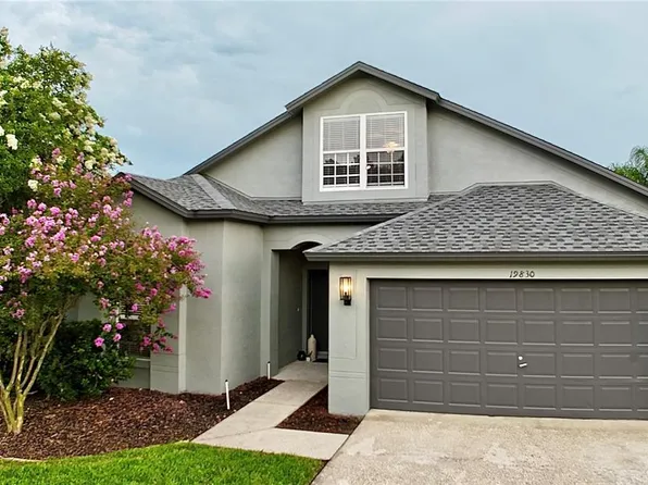 19830 Ellendale Dr, Land O Lakes, FL 34638