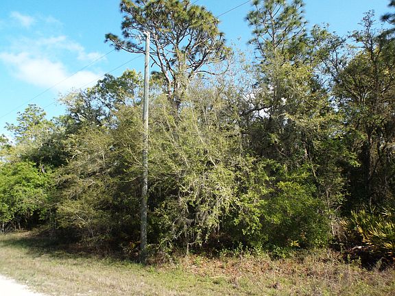 4th image of 33216 Teakwood Dr