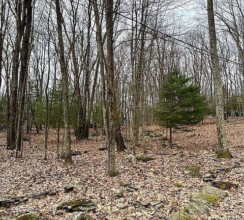 5th image of LOT 72 Saint Moritz Dr