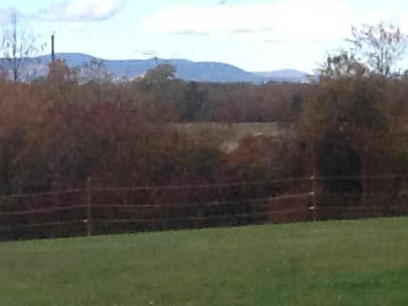 2nd image of 19424 Thoroughfare Ln