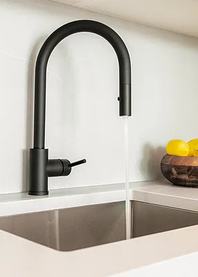 Rented by MNS | media 7