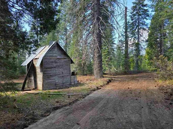 3-C-21 Fumarole Dr, McCloud, CA 96057