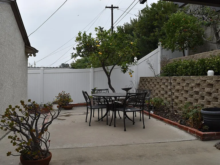 Backyard