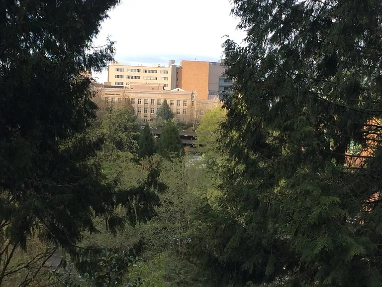 View from Private Deck space