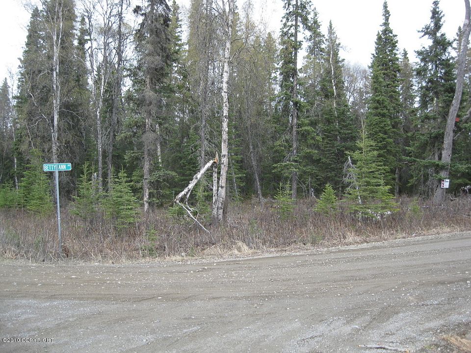 1st image of L4A B4 Bettyann Nikiski N