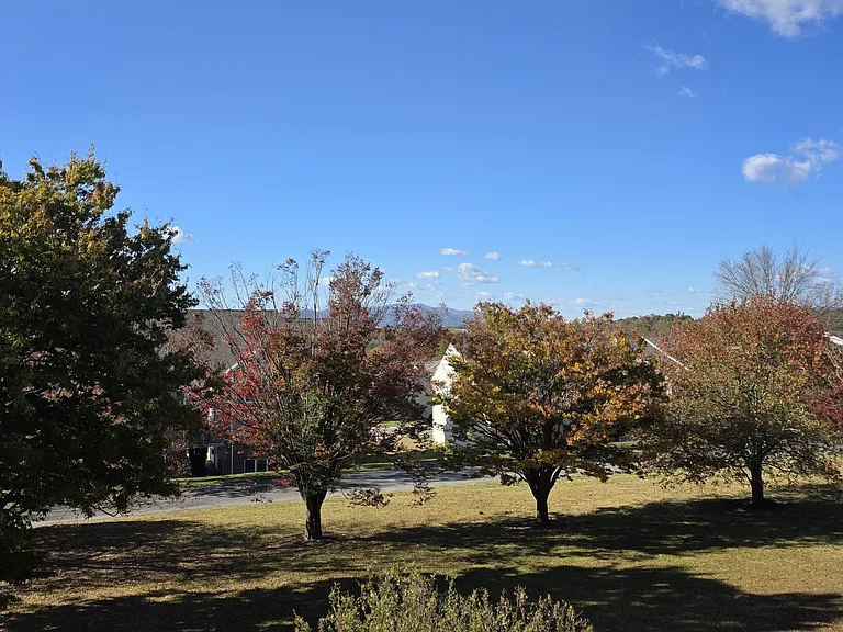 Carefree Place — Photo 11