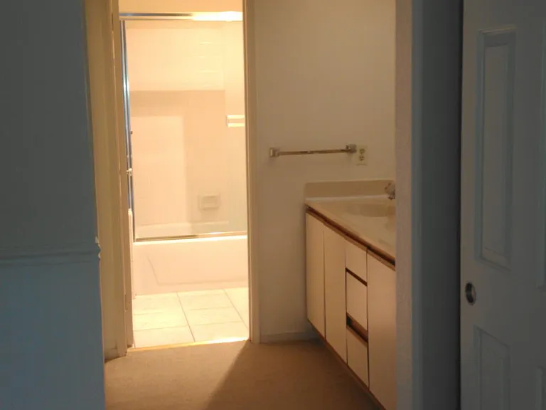 Bathroom / twin vanity sinks