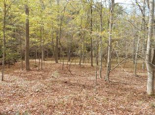 Rock Camp Rd, Harrisville, WV 26362