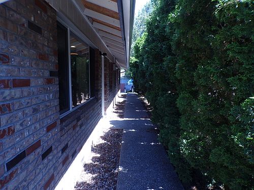 3rd image of 2915 Drummond Ave #2915
