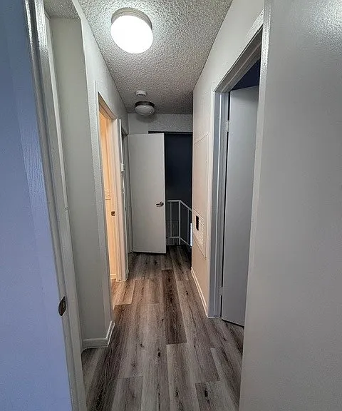 6916 Cornflower Dr #0 — Photo 14