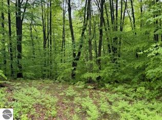 Vl Sw Lund Rd, Fife Lake, MI 49633