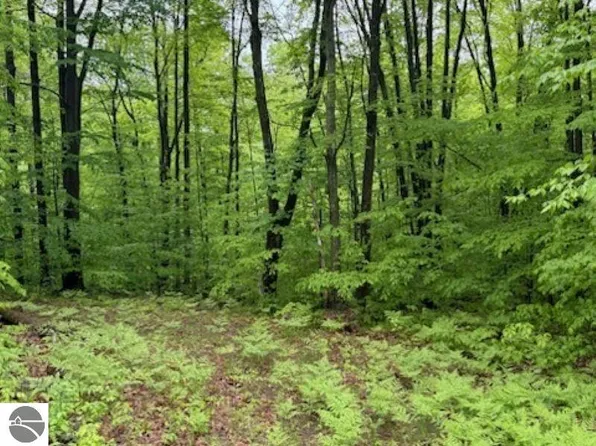 Vl Sw Lund Rd, Fife Lake, MI 49633