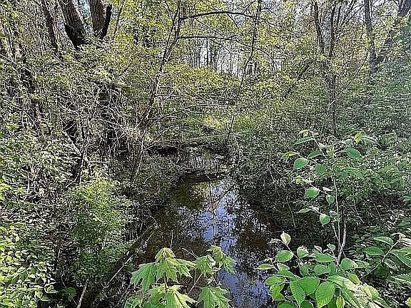 2nd image of 1302 Smith School Rd