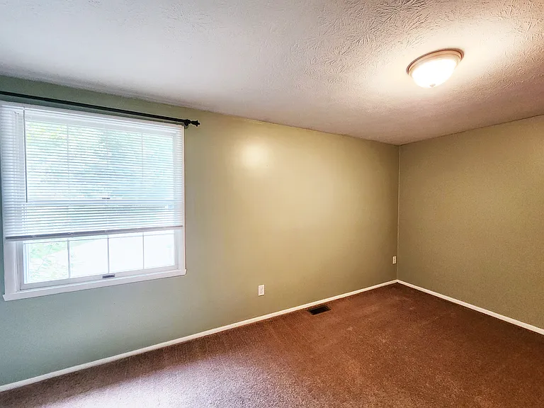 3863 Lake Run Blvd — Photo 10
