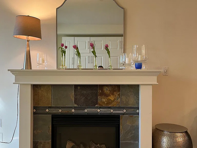 Gas fireplace