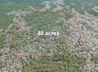 0 Clemmons Rd, Bonifay, FL 32425