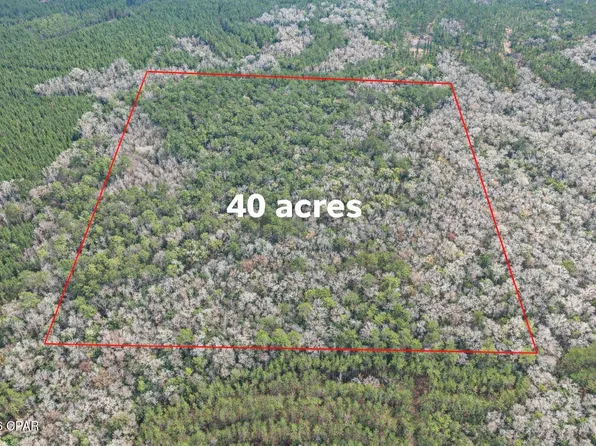 0 Clemmons Rd, Bonifay, FL 32425