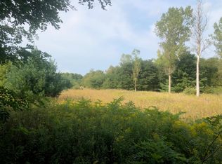 11 Mile Rd, Bear Lake, MI 49614