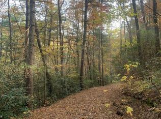 TRACT Old Toxaway Rd #B, Rosman, NC 28772