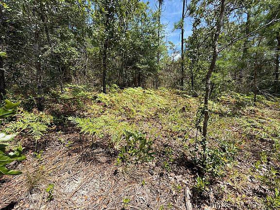 4th image of LOT 38 Clearwater Dr