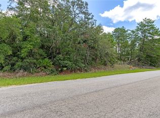 710 E Overdrive Cir, Hernando, FL 34442