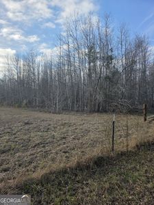 0 Perkins Green Fork Rd, Millen, GA, 30442