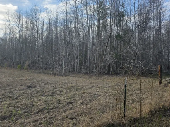 0 Perkins Green Fork Rd, Millen, GA 30442