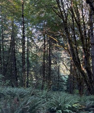 2nd image of SW Finnigan Hill Rd