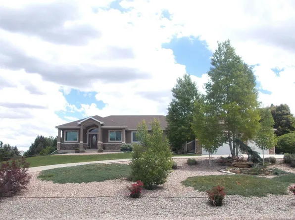 8898 Longs Peak Circle, Windsor, CO 80550
