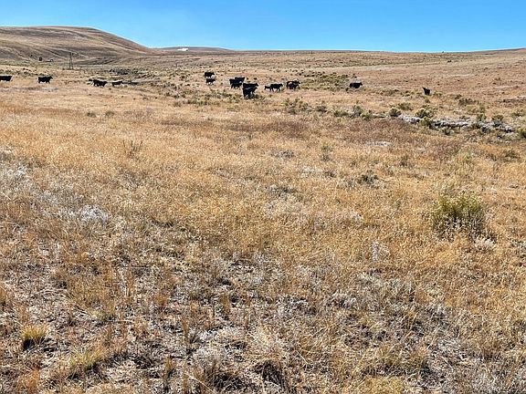 4th image of 44901 Highway 69