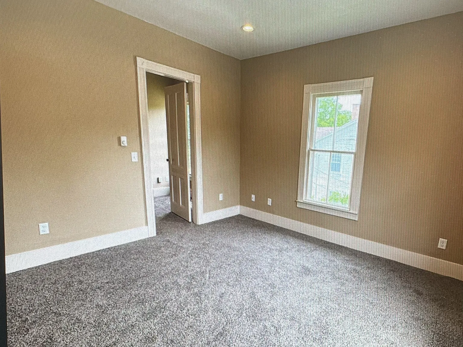 1 bed, $900 — Photo 3
