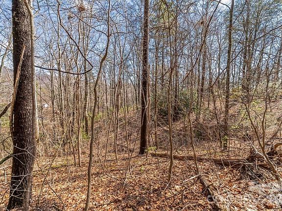 3rd image of 99999 Mill Rd