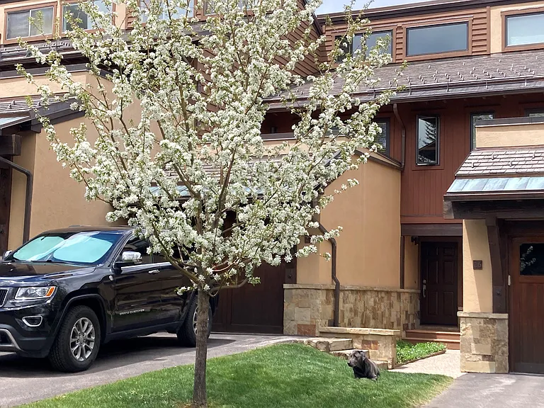 467 Snowmass Club Cir #27 — Photo 19