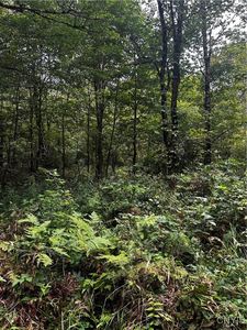 0 Abes Dr #22, Redfield, NY, 13437