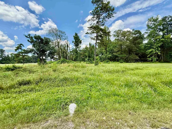 36301 Ruby Moore Rd, Denham Springs, LA 70706