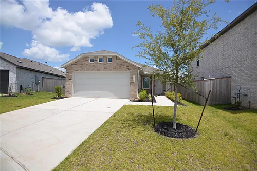 26926 Dalmatian Bellflower Dr Photo 1