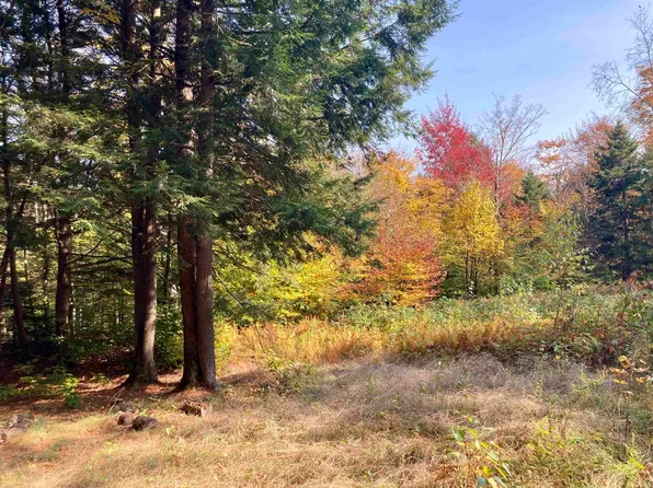 Lot 5 Taylor Road, Duxbury, VT 05676